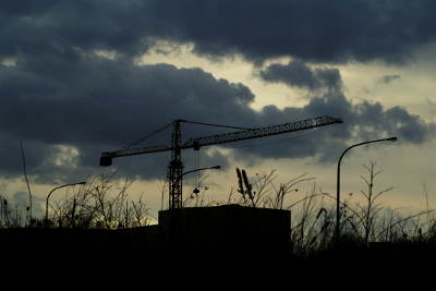 Black Crane, par Xavier E. G. Dierick